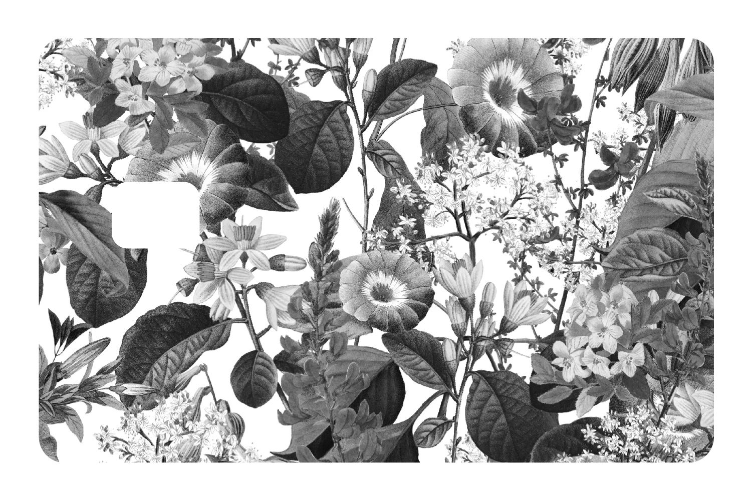Black and White Floral