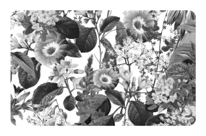 Black and White Floral