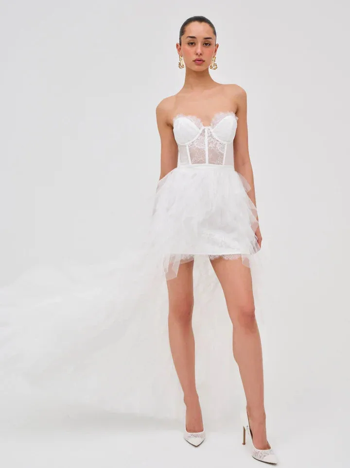 Bustier Elegant Gown