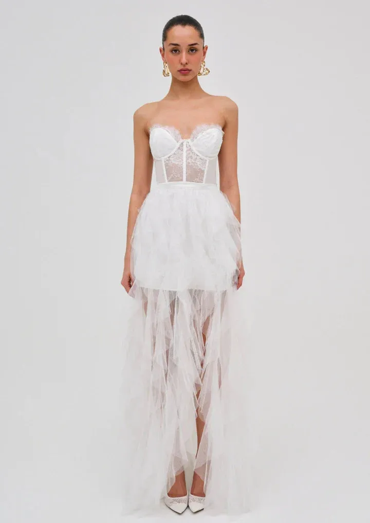 Bustier Elegant Gown