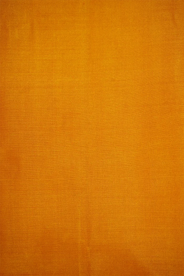 DIRTY ORANGE WITH RUST BROWN PURE KANCHIVARAM SILK SAREE
