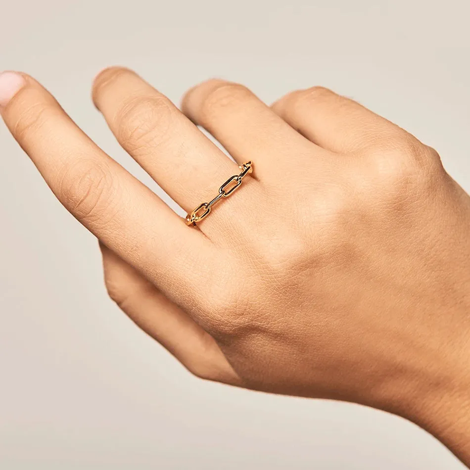 FJ0227 925 Sterling Silver Chain Ring