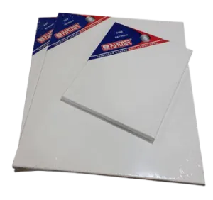 Partner Stretched Canvas 40x60cm 280gsm