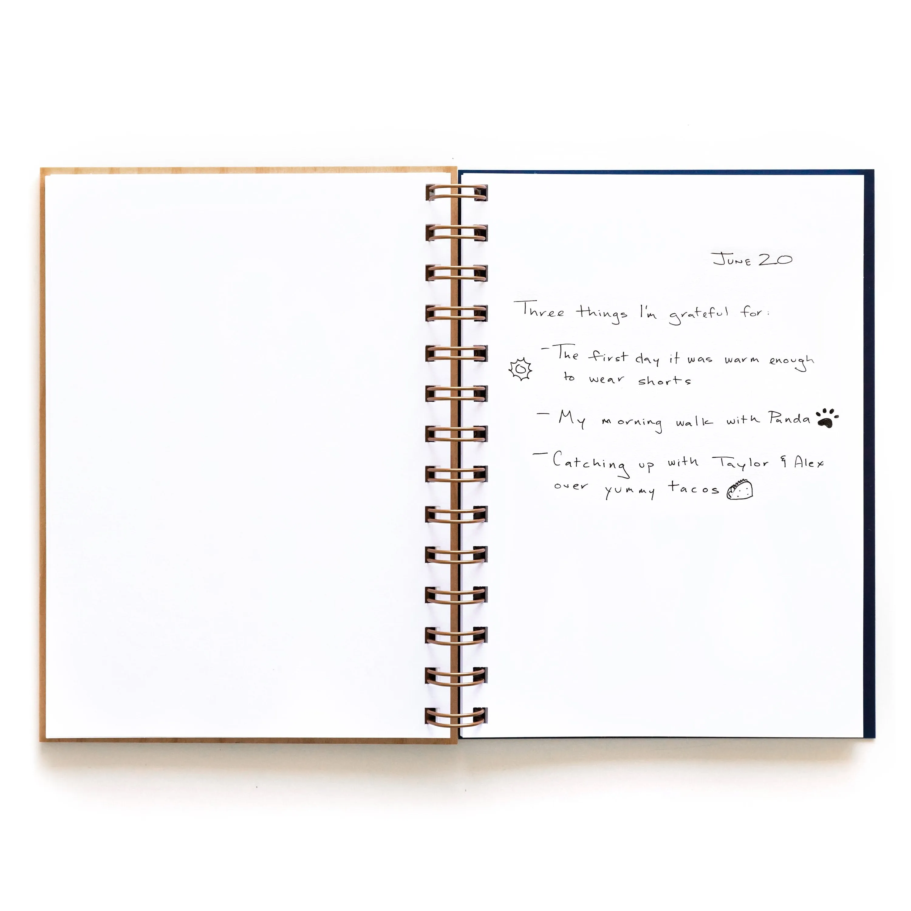 Saguaro Cactus Journal